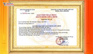 violaeva-duoc-cap-phep-hoat-dong-tham-my