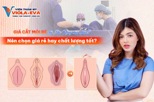 Giá cắt môi bé tại Đà Nẵng bao nhiêu? Nên chọn giá rẻ hay chất lượng tốt?