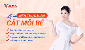 Lý do nên thực hiện cắt môi bé