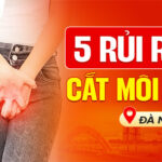 5-rui-ro-cat-moi-be-tai-da-nang