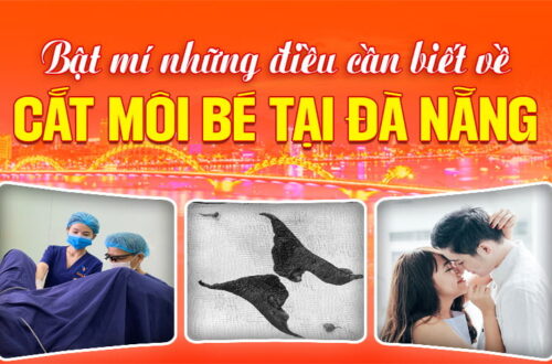 bi-mat-ve-nhung-dieu-can-biet-cat-moi-be-da-nang