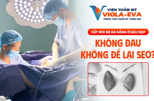 cat-moi-be-da-nang-o-dau-dep-khong-dau-khong-de-lai-seo