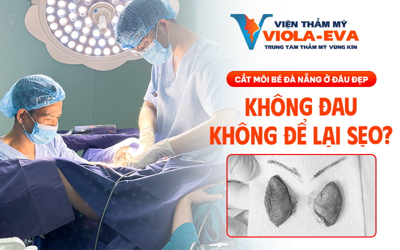 cat-moi-be-da-nang-o-dau-dep-khong-dau-khong-de-lai-seo