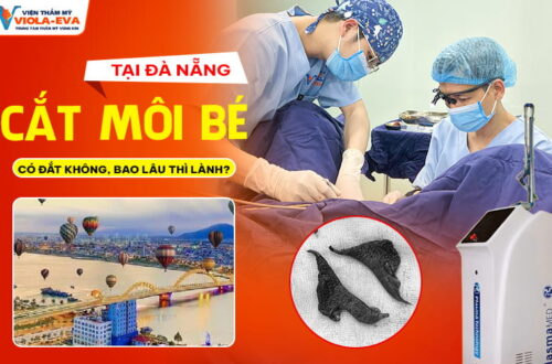 cat-moi-be-o-da-nang-co-dat-khong-bao-lau-thi-lanh