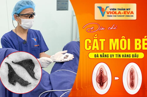 vien-tham-my-violaeva-dia-chi-cat-moi-be-da-nang-uy-tin-hang-dau