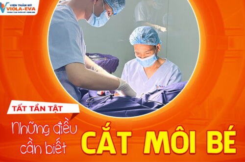tat-tan-tat-nhung-dieu-can-biet-ve-cat-moi-be-tai-da-nang