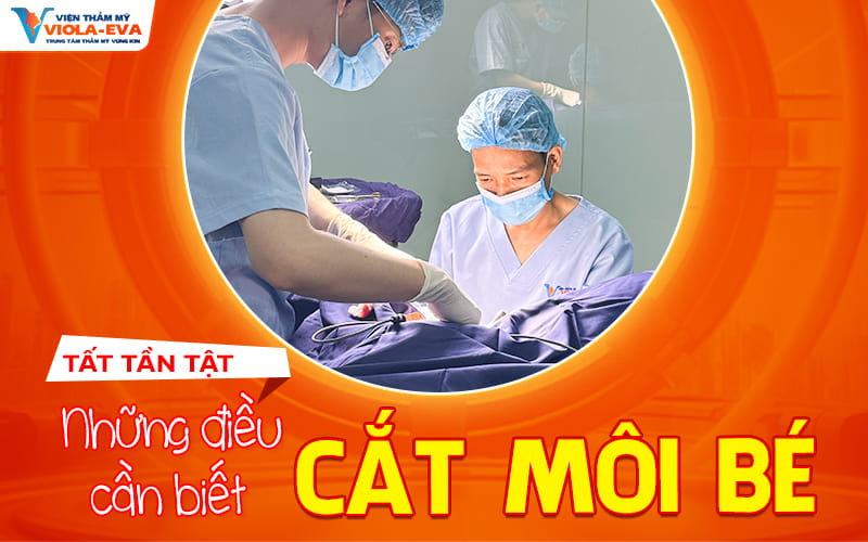 tat-tan-tat-nhung-dieu-can-biet-ve-cat-moi-be-tai-da-nang