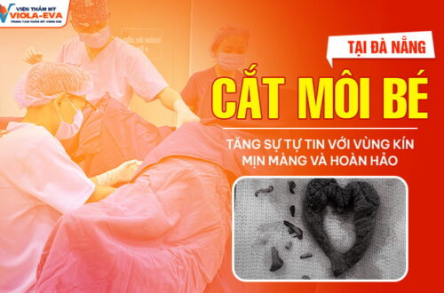 cat-moi-be-da-nang-tang-su-tu-tin-voi-vung-kin-min-mang-va-hoan-hao