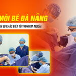 cat-moi-be-da-nang-tao-nen-su-khac-biet-tu-trong-ra-ngoai