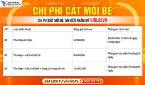 chi-phi-cat-moi-be-tai-vien-tham-my-violaeva