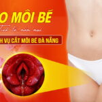 tao-moi-be-tinh-te-mem-mai-voi-dich-vu-cat-moi-be-da-nang