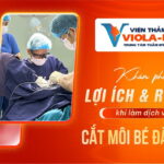 kham-pha-loi-ich-va-rui-ro-khi-lam-dich-vu-cat-moi-be-tai-da-nang