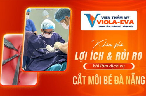 kham-pha-loi-ich-va-rui-ro-khi-lam-dich-vu-cat-moi-be-tai-da-nang