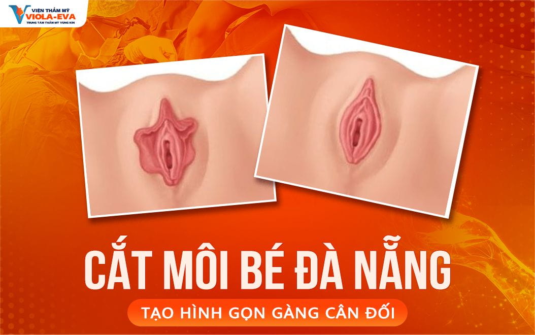 cat-moi-be-da-nang-tao-hinh-gon-gang-can-doi