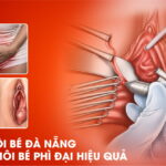 cat-moi-be-da-nang-xu-ly-moi-phi-dai-hieu-qua