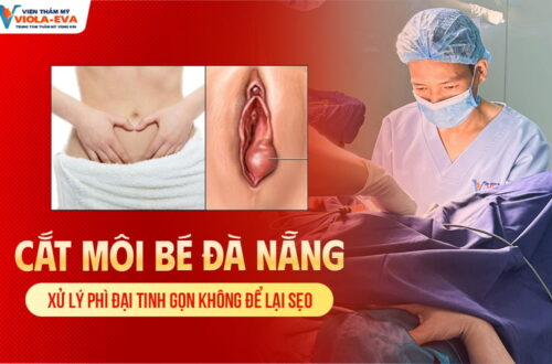 cat-moi-be-da-nang-xu-ly-phi-dai-tinh-gon-khong-de-lai-seo