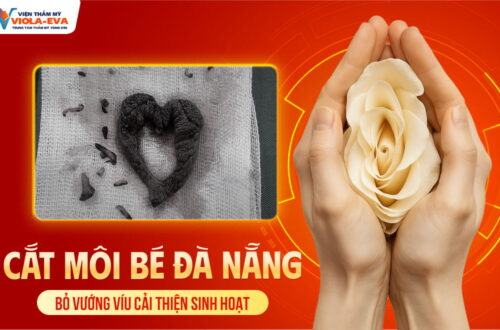 cat-moi-be-da-nang-cai-thien-sinh-hoat-hang-ngay