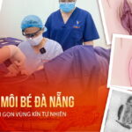 cat-moi-be-da-nang-tinh-gon-vung-kin-tu-nhien