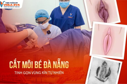 cat-moi-be-da-nang-tinh-gon-vung-kin-tu-nhien