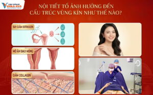 noi-tiet-anh-huong-den-cau-truc-vung-kin-nhu-the-nao