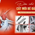 dia-chi-cat-moi-be-tai-da-nang-dep-tu-nhien-khong-de-lai-seo