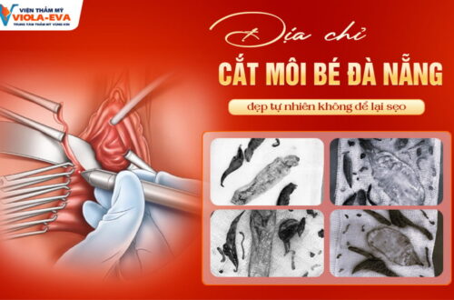 dia-chi-cat-moi-be-tai-da-nang-dep-tu-nhien-khong-de-lai-seo