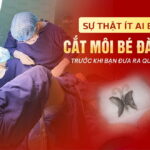 su-that-it-ai-biet-ve-cat-moi-be-tai-da-nang-truoc-khi-ban-dua-ra-quyet-dinh