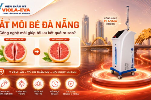 cat-moi-be-da-nang-cong-nghe-moi-giup-toi-uu-ket-qua-ra-sao