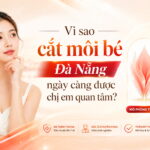 vi-sao-cat-moi-be-da-nang-ngay-cang-duoc-chi-em-quan-tam