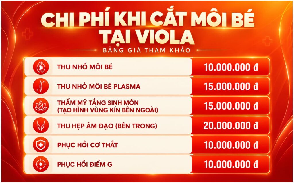 chi-phi-cat-moi-be-tai-violaeva