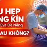 thu-hep-vung-kin-tai-violaeva-da-nang-co-dau-khong