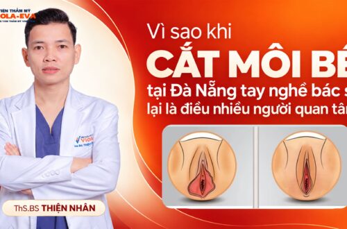 vi-sao-cat-moi-be-tai-da-nang-tay-nghe-bac-si-lai-la-dieu-nhieu-nguoi-quan-tam